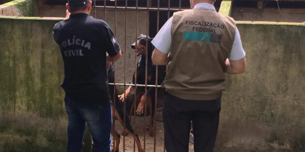 Imagem ilustrativa da imagem Denúnias de maus-tratos contra animais crescem no PR