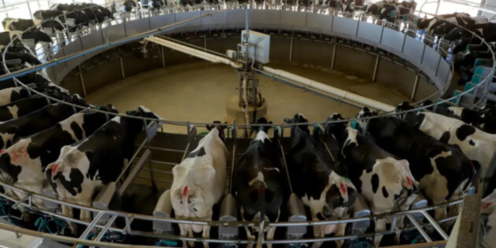 Com tecnologia que amplia eficiência, a cidade se torna destaque nacional na produção leiteira