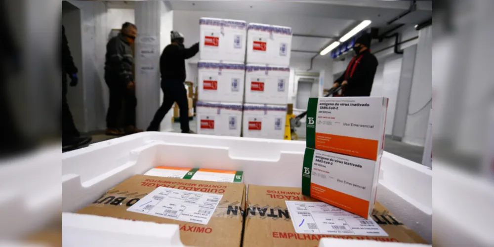Doses serão repassadas pela 3ª Regional de Saúde; Imunizantes são da AstraZeneca, CoronaVac e Pfizer