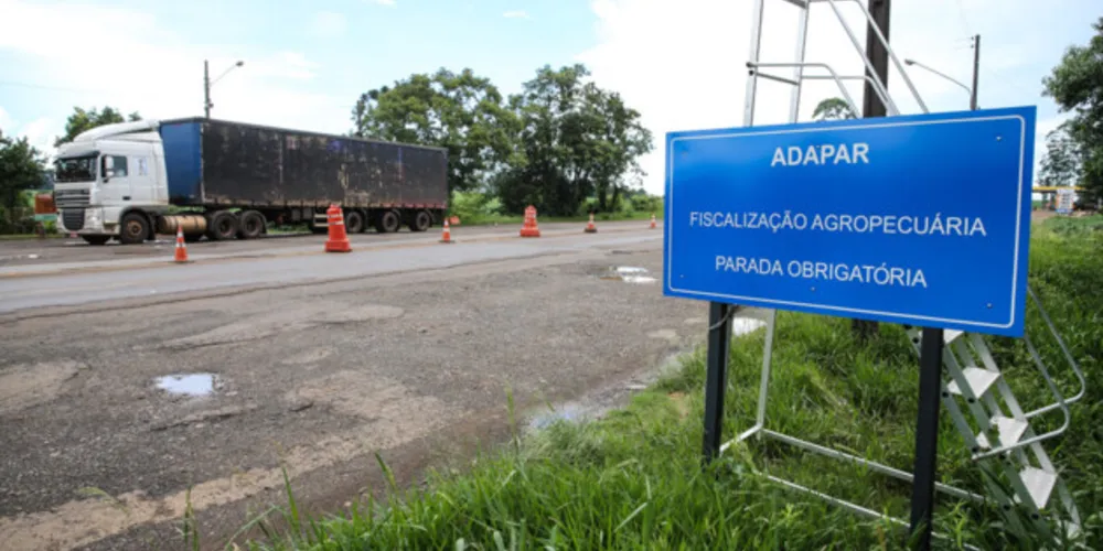 Estão inscritos para o concurso 6.164 candidatos