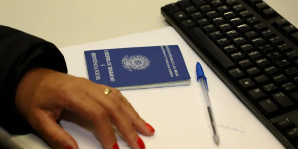 A maioria dos postos de trabalho ofertada nas unidades do Paraná é para os setores da indústria, serviços e construção civil. As principais vagas disponíveis são para operador de telemarketing ativo e receptivo (243), auxiliar administrativo (236), alimentador de linha de produção (151) e ajudante de carga e descarga de mercadoria (124)