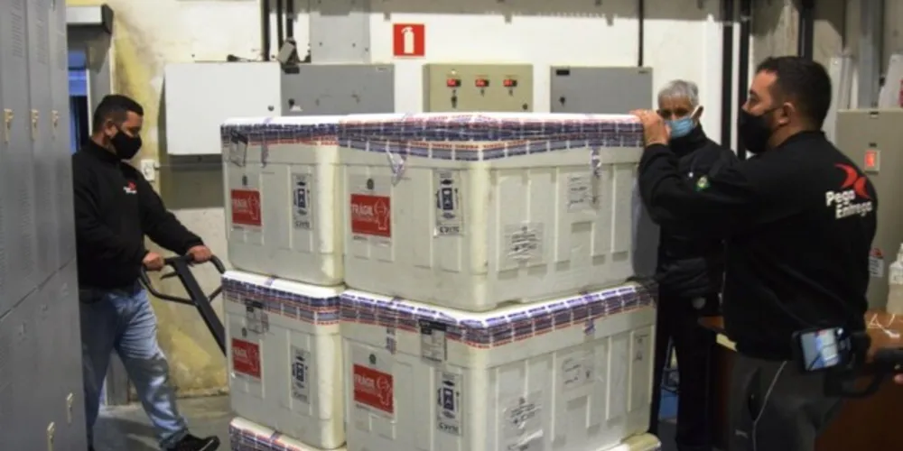 O Estado já aplicou 4 milhões doses até as 21h desta quarta-feira (9), sendo 2,9 mi para primeira dose e 1,2 mi para segunda dose
