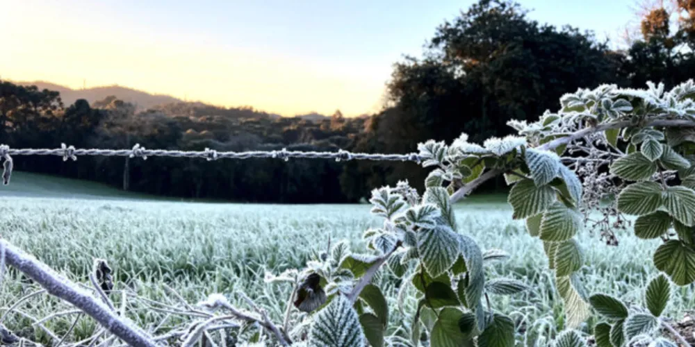 Simepar registrou temperaturas negativas em 29 cidades nesta madrugada