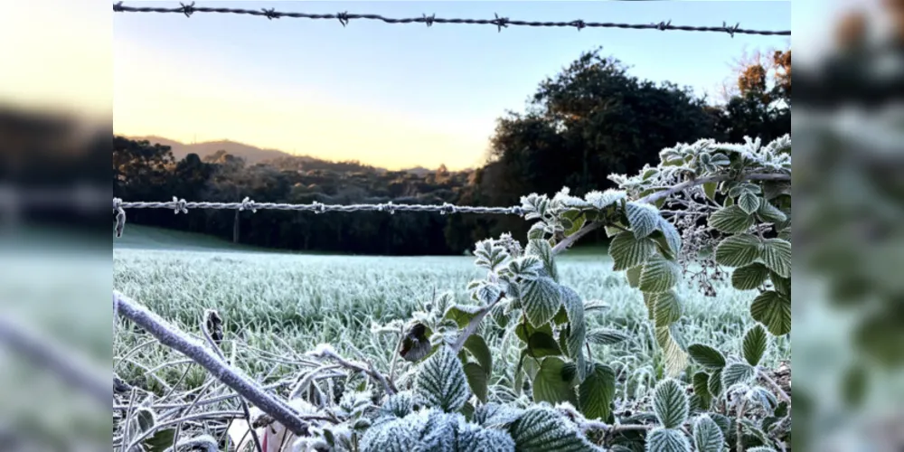 Simepar registrou temperaturas negativas em 29 cidades nesta madrugada