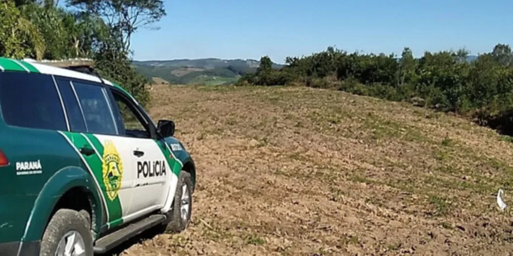 Imagem ilustrativa da imagem Policia Ambiental e IAT aplicam R$ 4,2 mi em multas