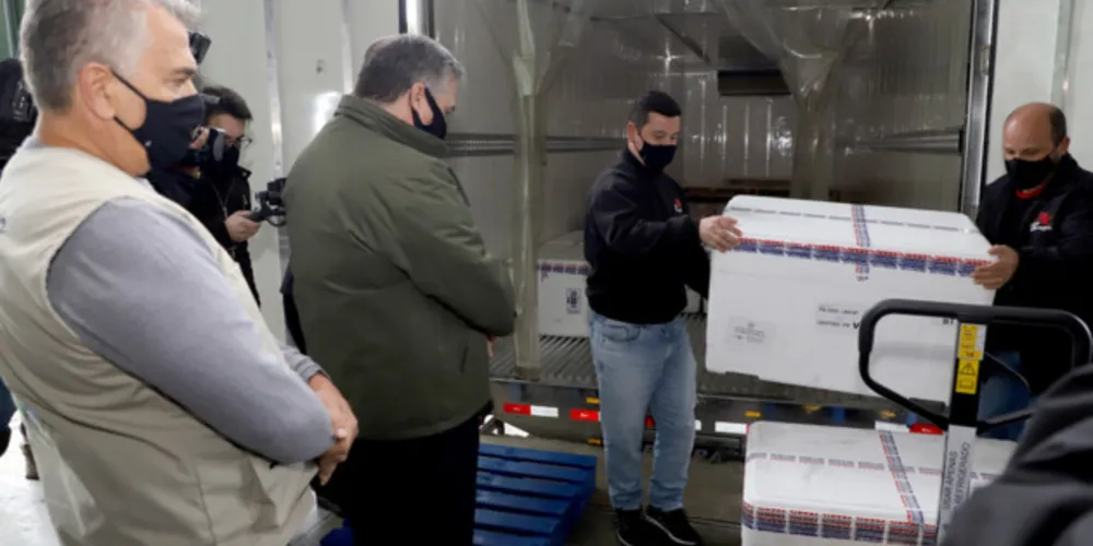 As vacinas estão no Cemepar, onde são armazenadas, cadastradas e separadas, de maneira proporcional, conforme o Plano Nacional de Imunizações, para todos os 399 municípios das 22 Regionais de Saúde. 