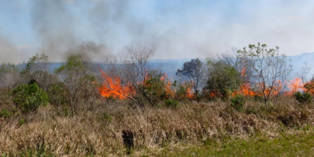 O Instituto Ambiental do Paraná (IAP) aplica novamente a técnica de manejo com fogo controlado no Parque Estadual de Vila Velha, em Ponta Grossa.