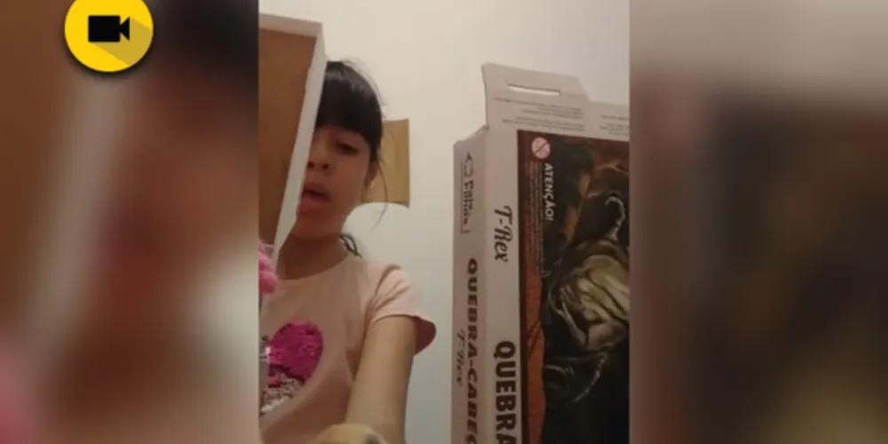 Imagem ilustrativa da imagem Alunos de Irati transformam casas em cenários de histórias