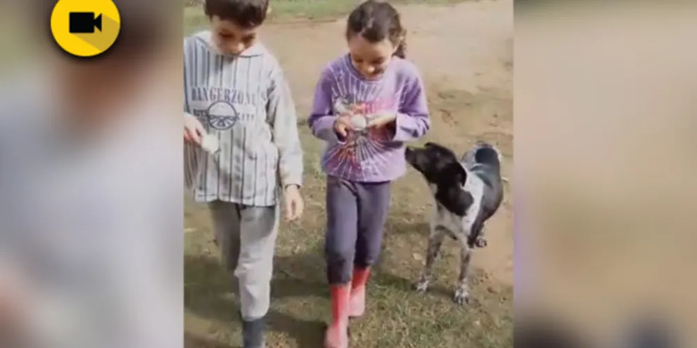 Imagem ilustrativa da imagem Adaptação marca festa junina em turma de Piraí do Sul