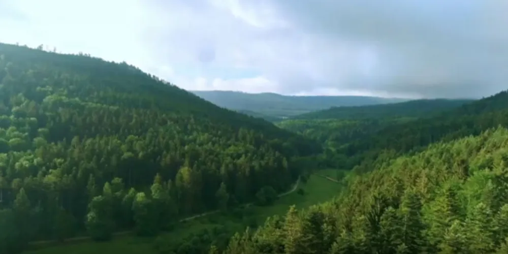 Imagem ilustrativa da imagem Meio Ambiente: entenda como práticas simples ajudam a cuidar do nosso planeta