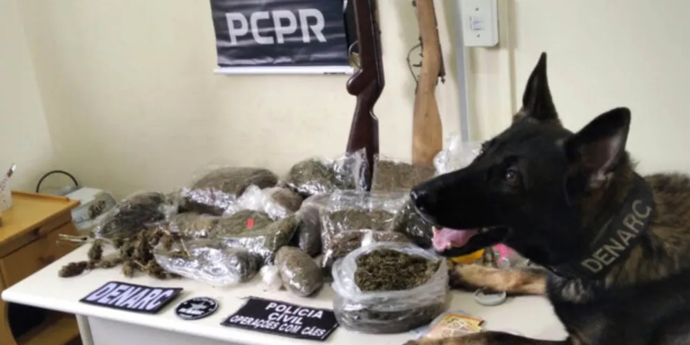 As prisões em flagrante ocorreram durante o cumprimento de 18 mandados de busca e apreensão