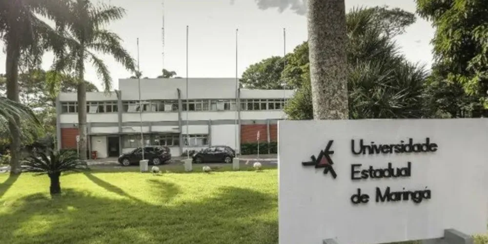 Os candidatos devem ter participado de alguma edição do Exame Nacional do Ensino Médio (Enem) a partir de 2009