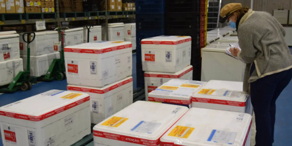 Os imunizantes da Pfizer/BioNTech chegaram ao Paraná nesta quarta-feira (11) à noite e fazem parte da 37ª pauta de distribuição do Ministério da Saúde.