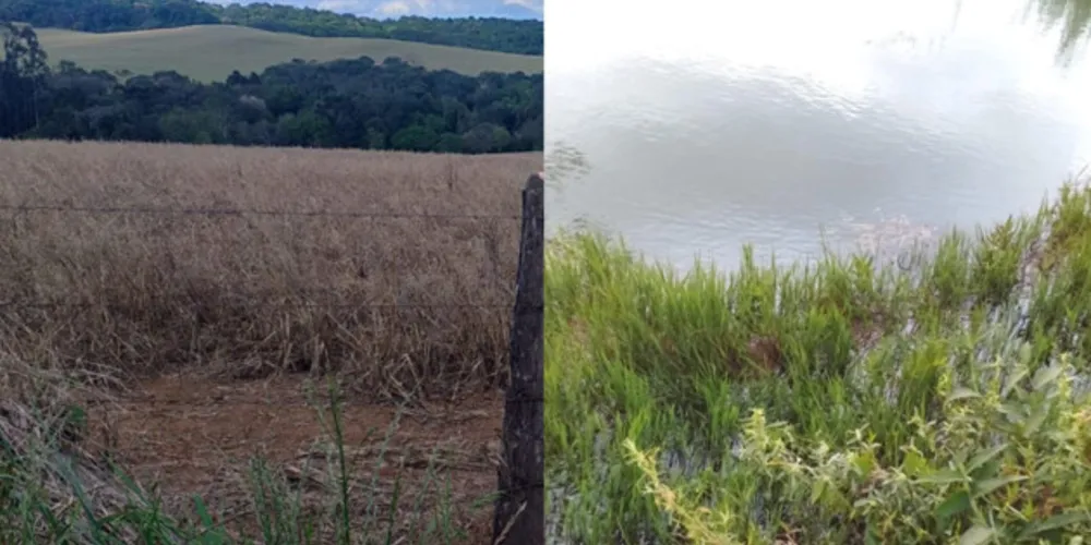 Fotos de aluna demonstram um pouco do que fora proposto