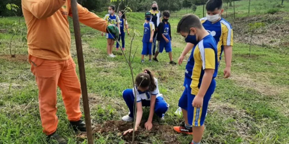 As mudas foram plantadas no Parque de Olarias e Praça Barão do Rio Branco 