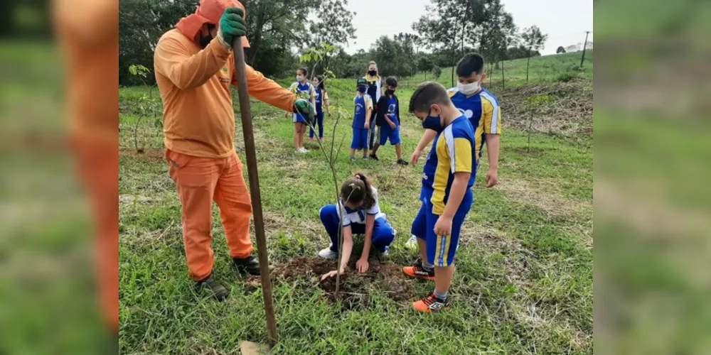 As mudas foram plantadas no Parque de Olarias e Praça Barão do Rio Branco 