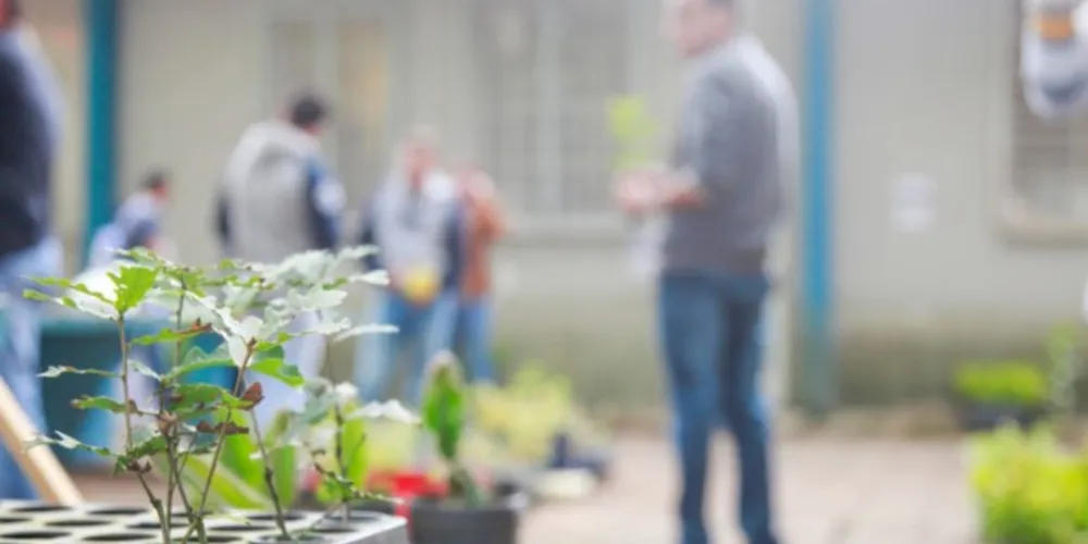 Marcado para esta sexta (24), o 3º ‘Arboriza Ponta Grossa’ realiza a doação de mudas nativas da região.