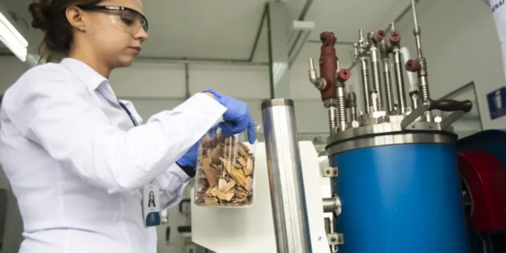 Vale do Tibagi investe na produção de pellets de madeira e inicia exportação após parceria com IST em Celulose e Papel