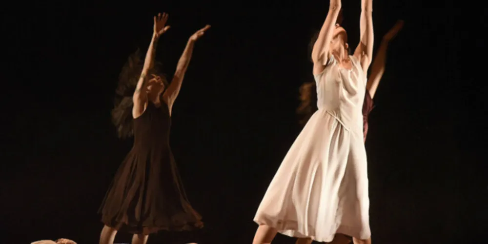 O programa disponibiliza 12 mil vagas para trabalhadores e trabalhadoras da área no Paraná.