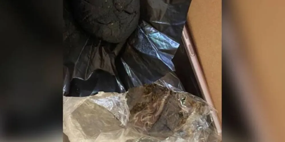 Foram localizadas a quantia de 100 gramas de haxixe e 25 gramas de maconha