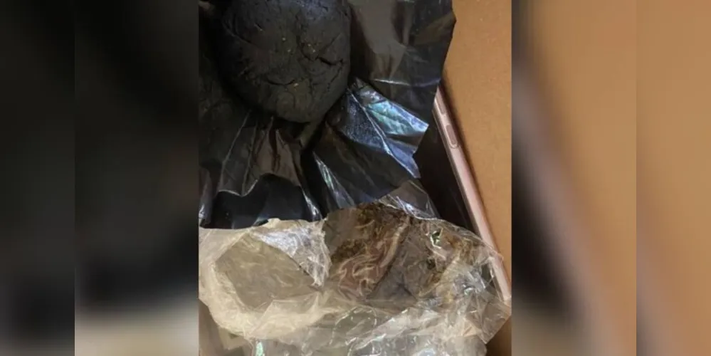 Foram localizadas a quantia de 100 gramas de haxixe e 25 gramas de maconha