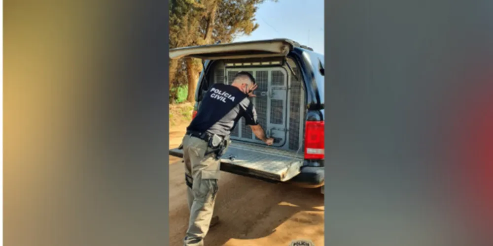 A ação foi realizada pela polícia civil