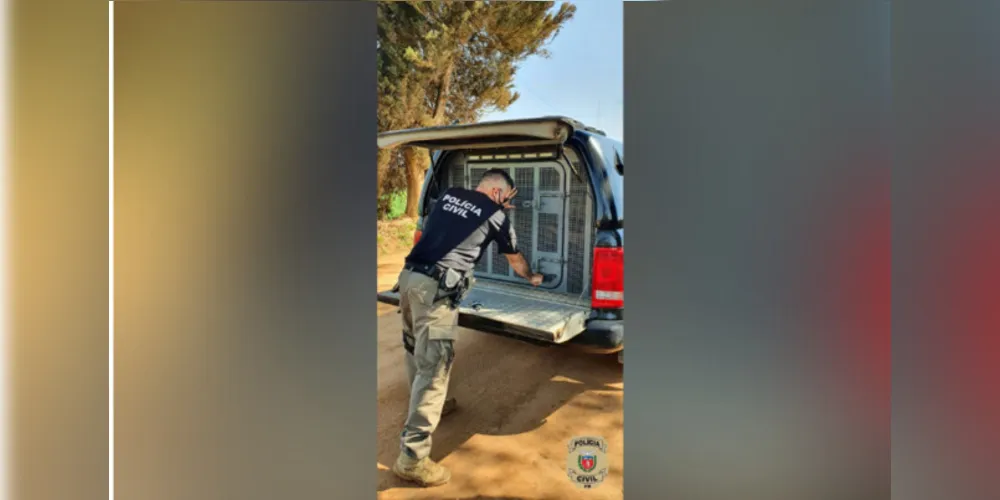 A ação foi realizada pela polícia civil