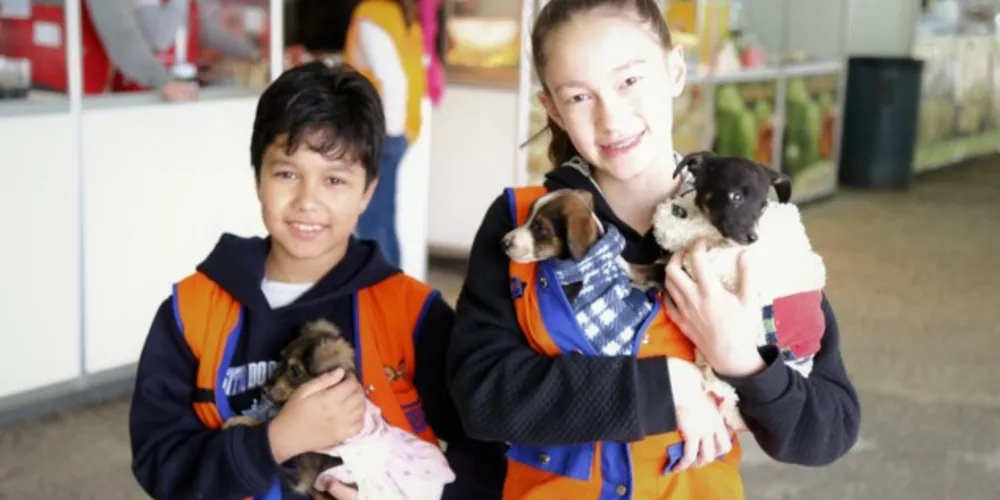 Mudas serão disponibilizadas durante a feira e poderão ser adquiridas em troca de 1 kg de ração.