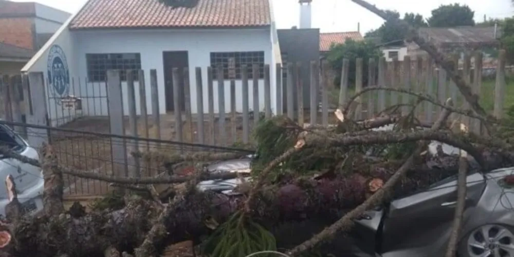 Carro de pedagoga foi destruído por uma araucária