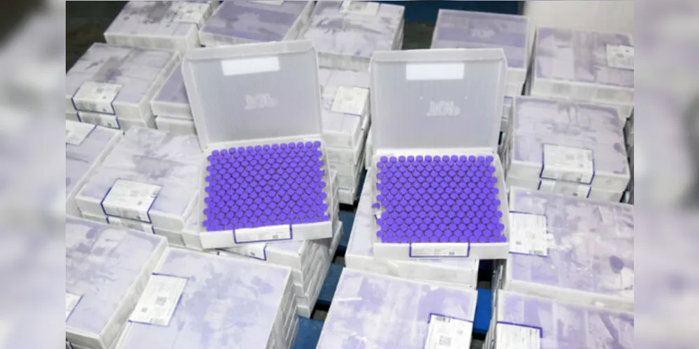 O Estado recebeu mais imunizantes da Pfizer/BioNTech, destinada para segunda dose, e já iniciou a distribuição para as 22 Regionais de Saúde.