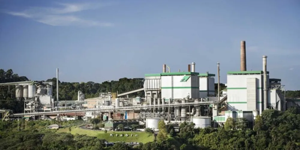 Projeto Puma II é resultado do aporte de R$ 12,9 bilhões feito pela Klabin.