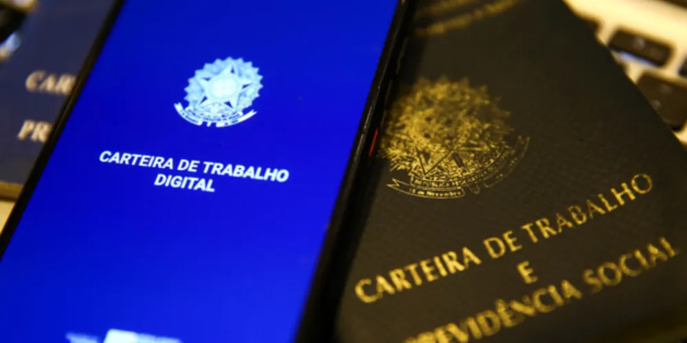 Saldo total entre janeiro e julho de 2021 é de mais de 132 mil vagas criadas pelas micro e pequenas empresas.