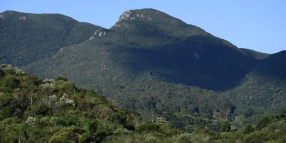 Morro do Canal
