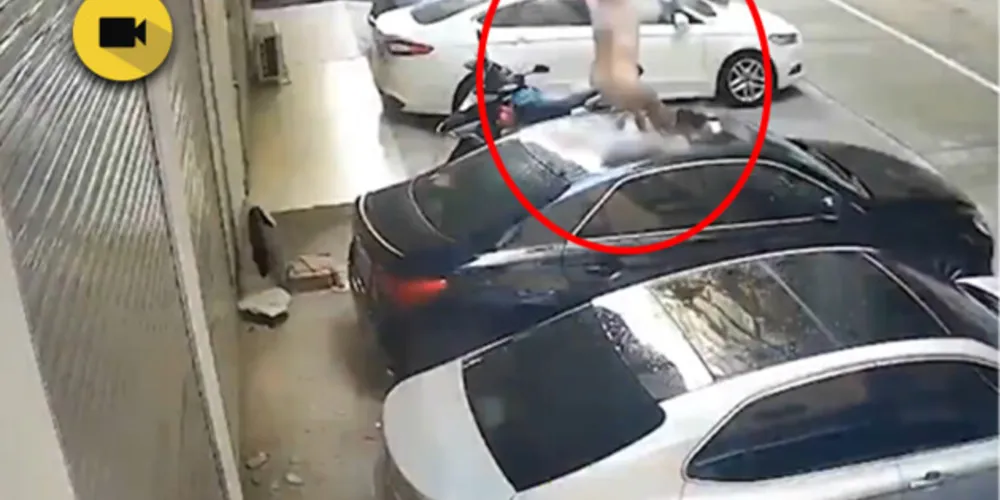 Imagem ilustrativa da imagem Mulher cai de varanda durante ato sexual e destrói carro; Veja