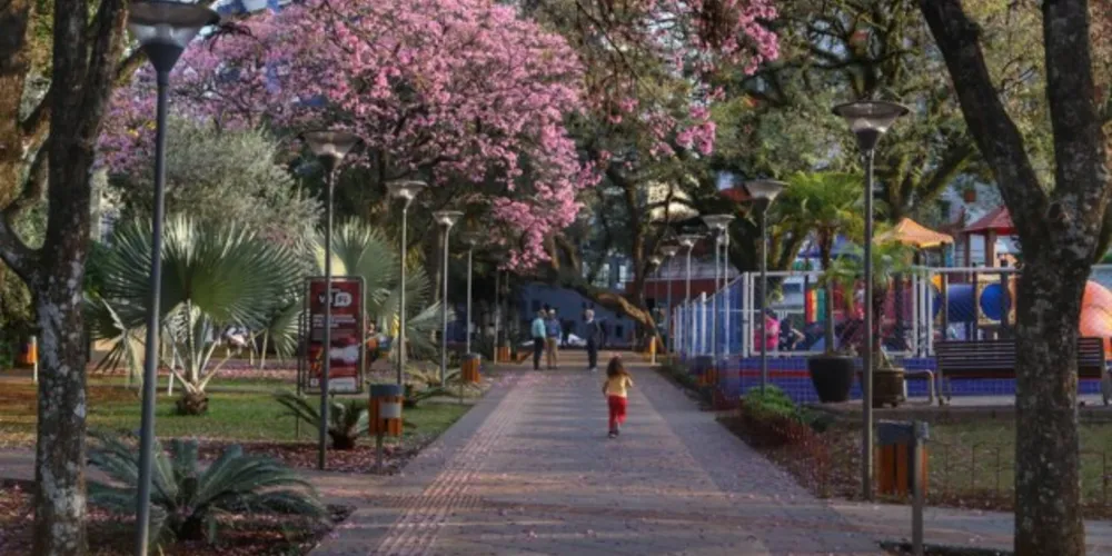 A primavera desse ano deve ter variações bruscas de temperatura e chuvas abaixo da média.

