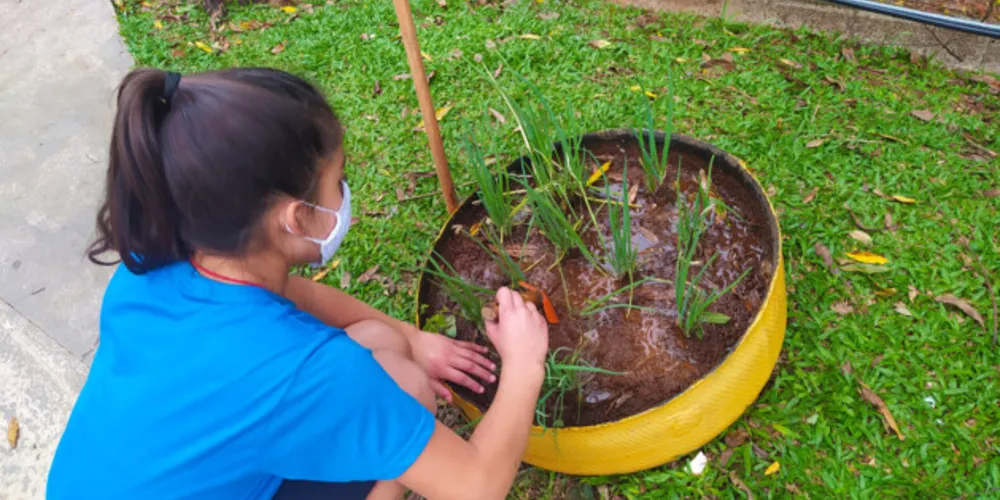 Com recursos obtidos em premiação do SESI, Escola Municipal João Maria Cruz ganhou ainda mais força para expandir suas ações sustentáveis