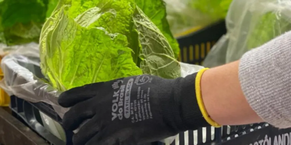 Oportunidades são para diferentes cargos e turnos com benefícios exclusivos, ainda esse mês.