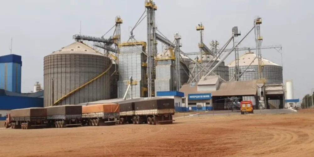 Bombeiros e Samu trabalham no resgate das vítimas.