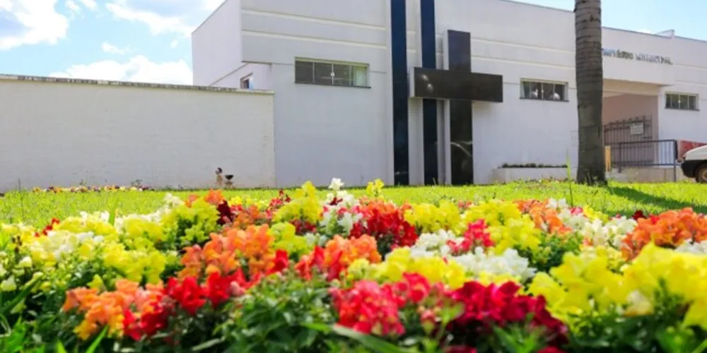 População deve ter cuidado redobrado com os vasos de flores para evitar focos de dengue