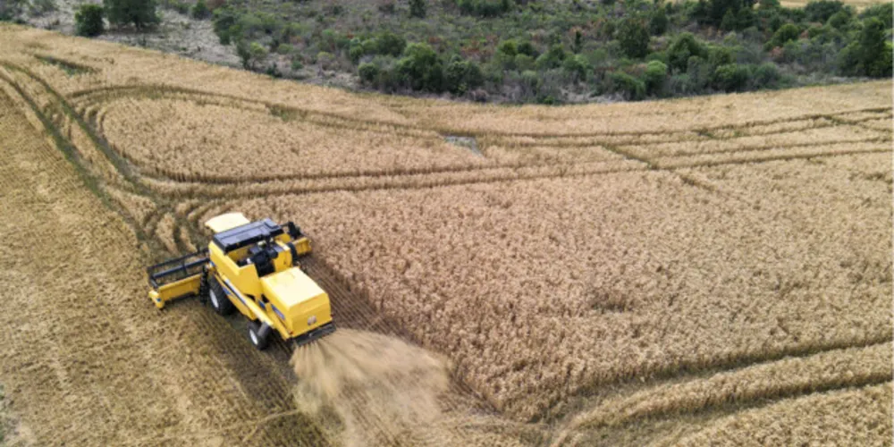 Tecnologia, dedicação e alta tecnologia foram diferenciais na região para o incremento na produção e produtividade regional
