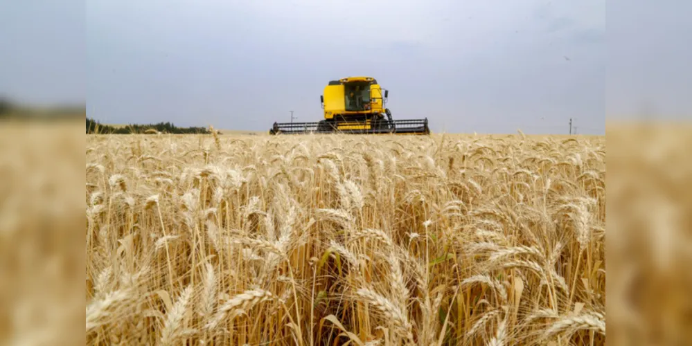Choveu em metade dos dias de outubro na região dos Campos Gerais. Média mensal é 150 milímetros, e já choveu 297 milímetros