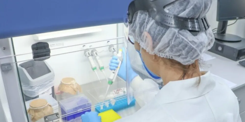 O resultado mostrou que, de 42 amostras testadas, 34 foram Delta e 8 Gama.