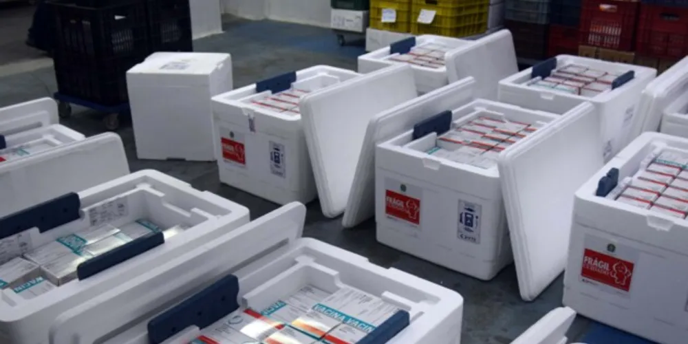 Vacinas entregues pelo Ministério da Saúde são da Pfizer.