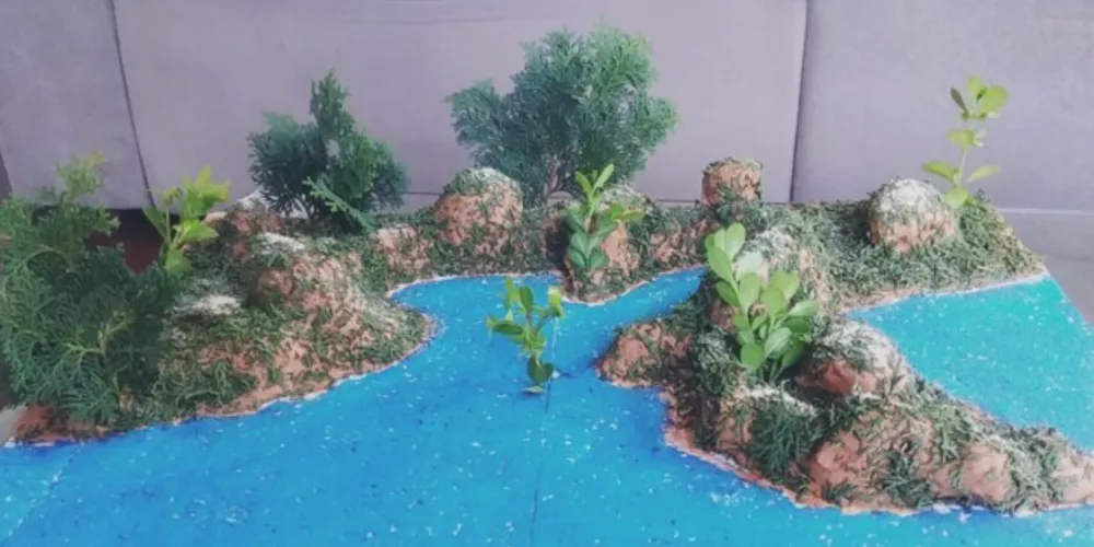 Alunos tiraram fotos e enviaram para mostrar trabalhos