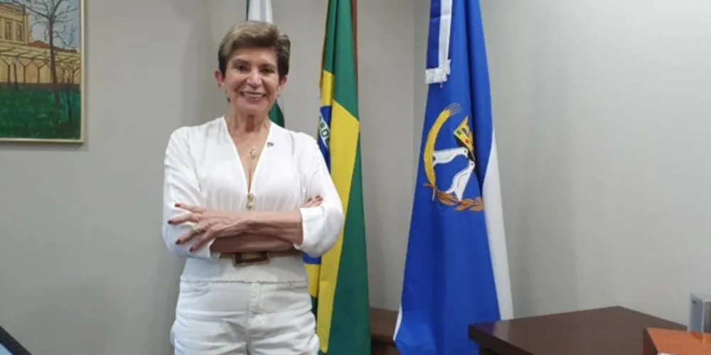 Imagem ilustrativa da imagem Elizabeth Schmidt conversa com o Portal aRede