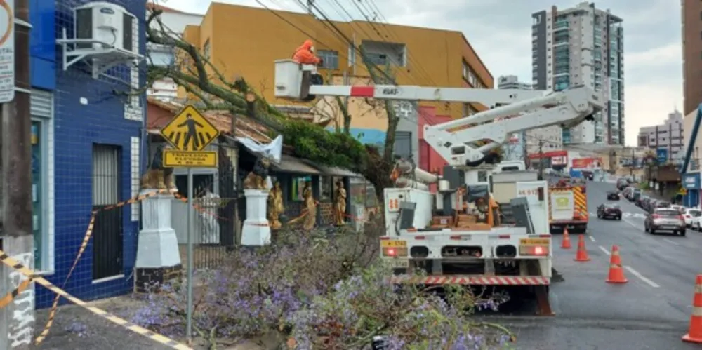 Equipes da Copel, do Corpo de Bombeiros e Defesa Civil foram mobilizada ao local