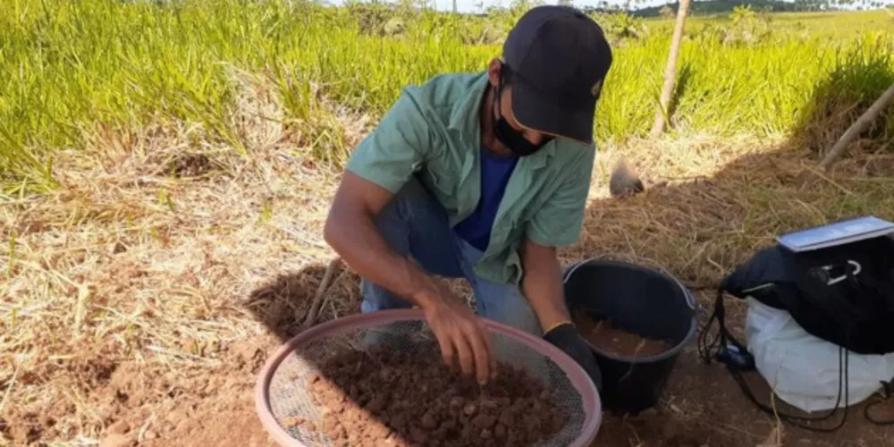 Imagem ilustrativa da imagem Vamos Ler traz bate-papo com arqueóloga sobre história da região