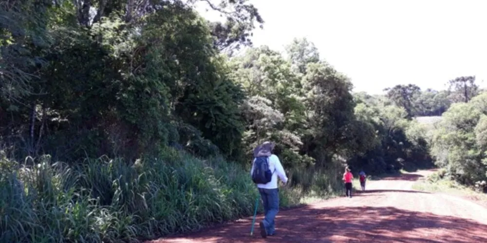 Caminho Terra do Sol é realizado pela AMIC PR e já é possível se inscrever; evento será no dia 20 de novembro.