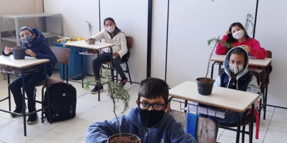 Alunos receberam mudas para plantarem em casa junto às famílias