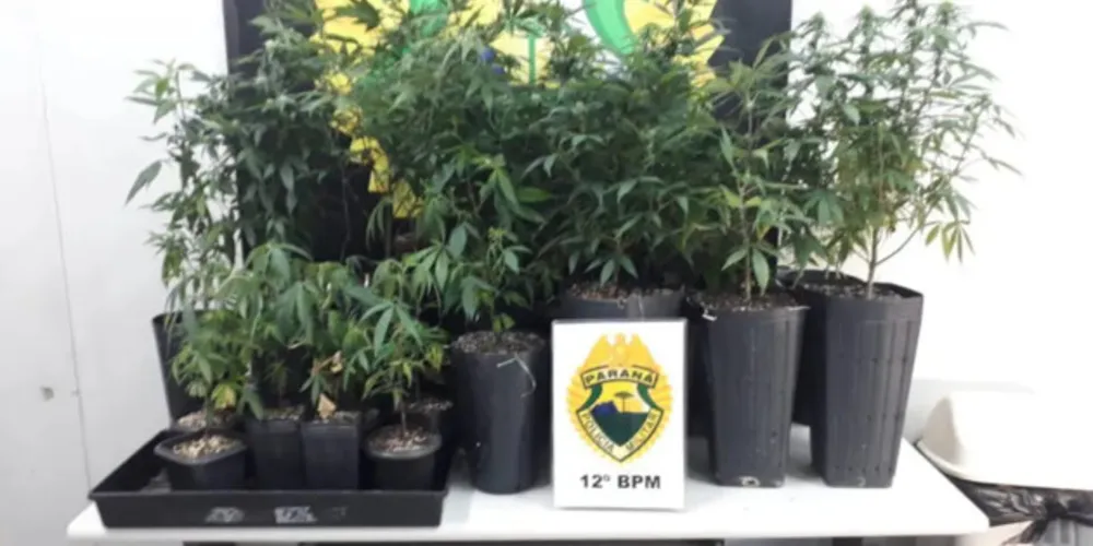 Casal que vivia em um condomínio de luxo foi encaminhado a Central de Flagrantes de Curitiba